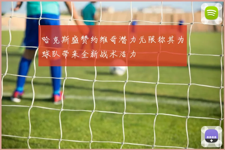 哈克斯盛赞约维奇潜力无限称其为球队带来全新战术活力