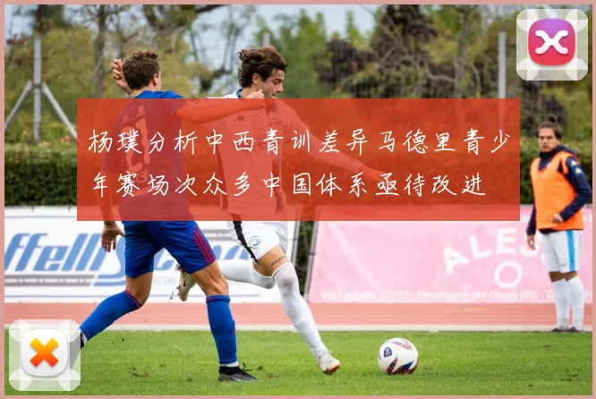 杨璞分析中西青训差异马德里青少年赛场次众多中国体系亟待改进