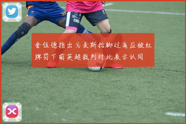 舍伍德指出戈麦斯抬脚过高应被红牌罚下前英超裁判对此表示认同
