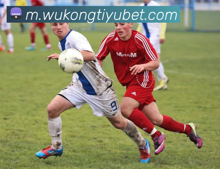 多媒体互动体验